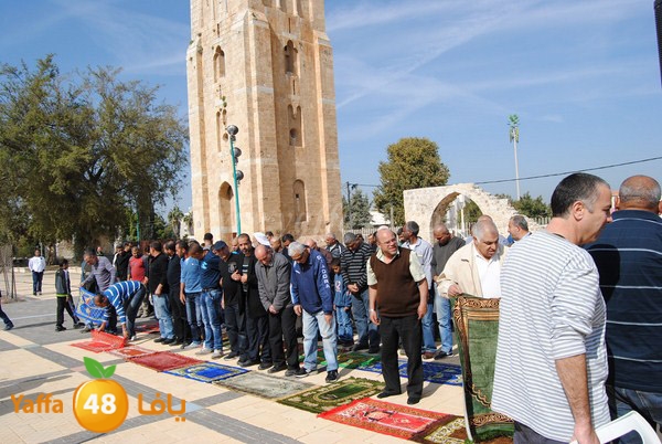 istesqa2 ramla 0201 (23).JPG